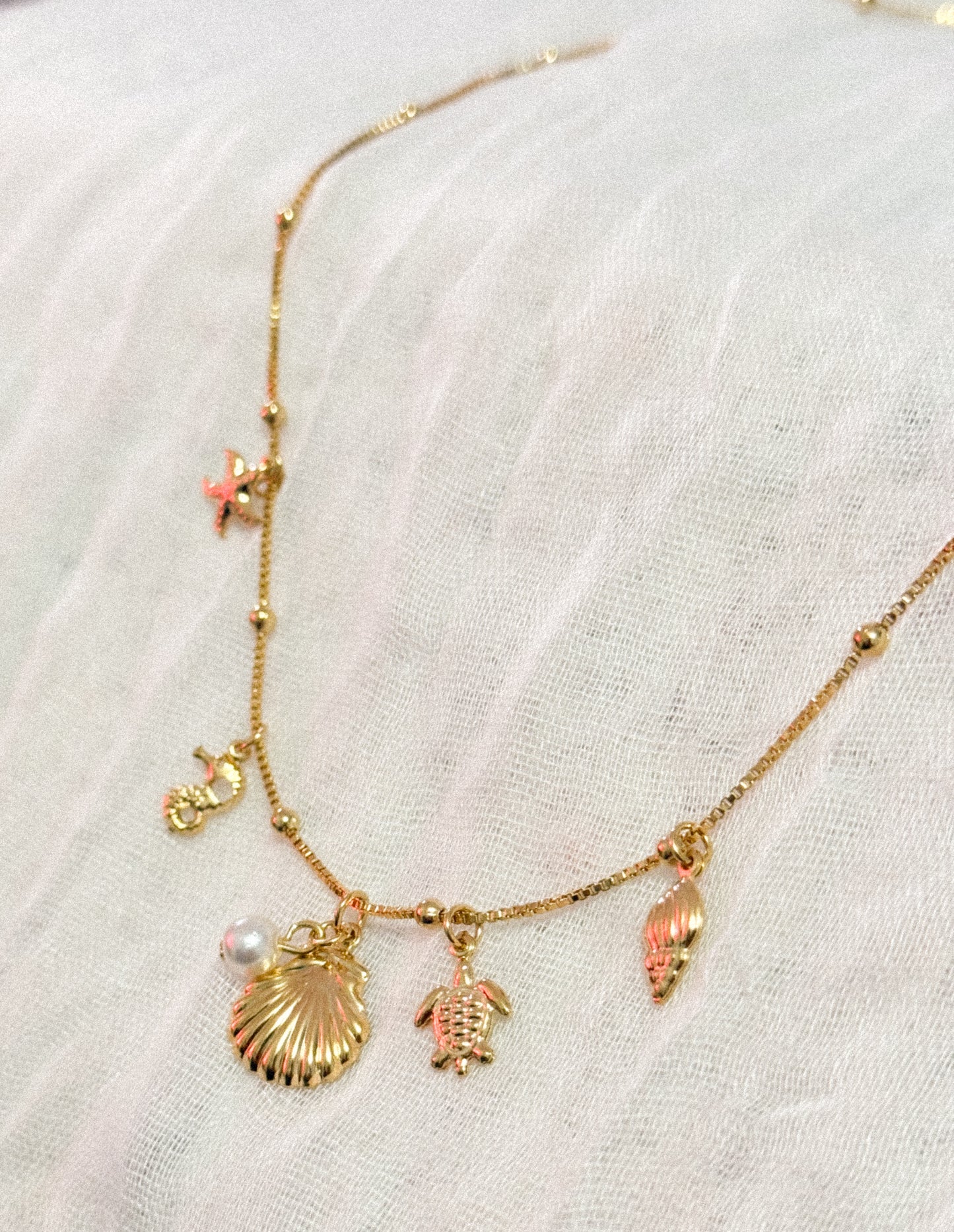 The Florida Seashell Charm Necklace