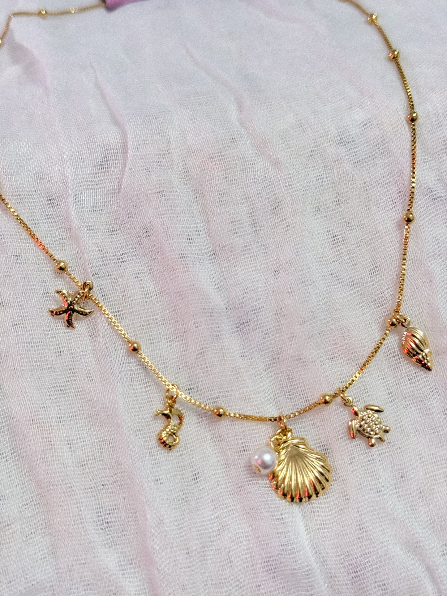 The Florida Seashell Charm Necklace